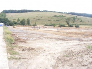 01 zelená lúka